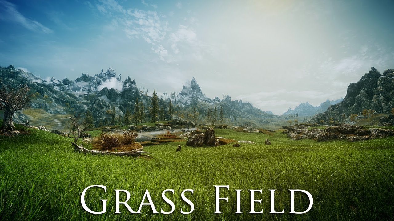 Skyrim Green Grass Mod